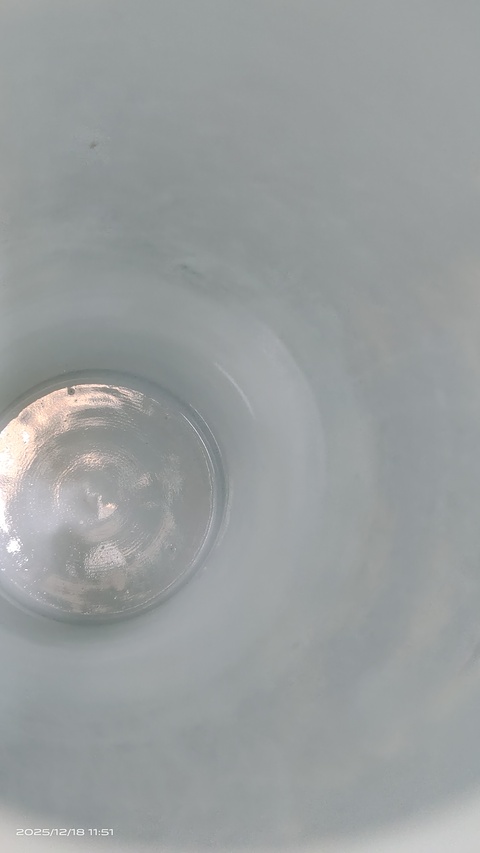 古玩陶瓷青花冰梅圖雞腿瓶真品鑒賞圖