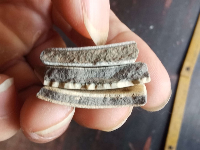 古玩陶瓷官窯標(biāo)本真品鑒賞圖