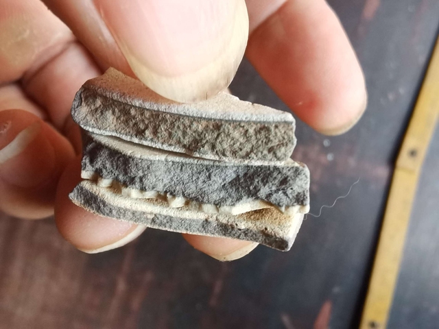 古玩陶瓷官窯標(biāo)本真品鑒賞圖