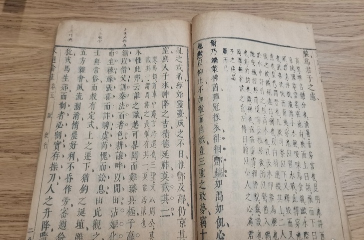 古玩字畫《文選瀹注》真品鑒賞圖