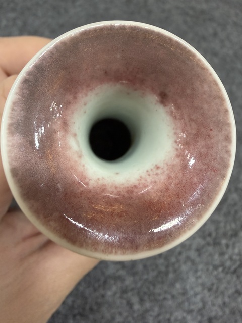 古玩陶瓷豇豆紅釉柳葉瓶真品鑒賞圖