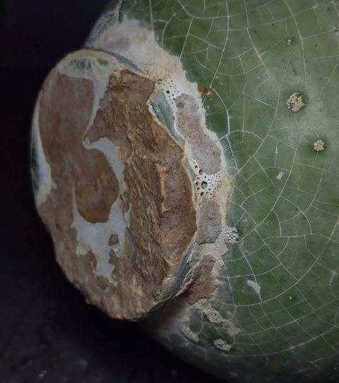 古玩陶瓷陶罐真品鑒賞圖