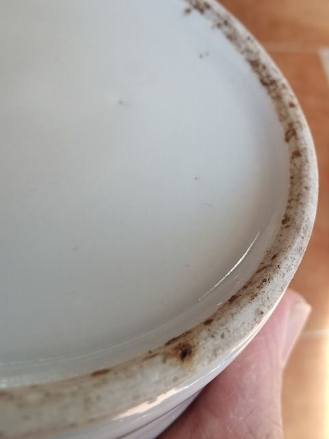 古玩陶瓷民國 粉彩和合二仙蓋罐真品鑒賞圖