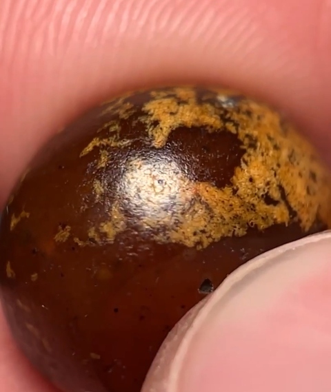 古玩玉器瑪瑙珠真品鑒賞圖