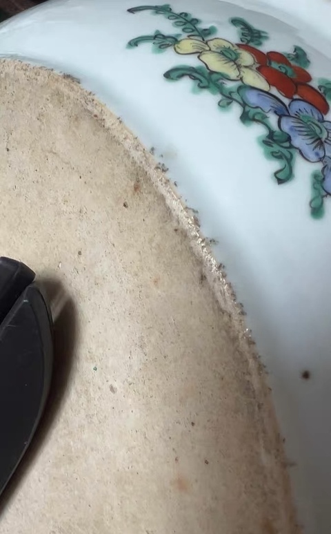 古玩陶瓷廣彩趕珠龍紋折沿盤真品鑒賞圖