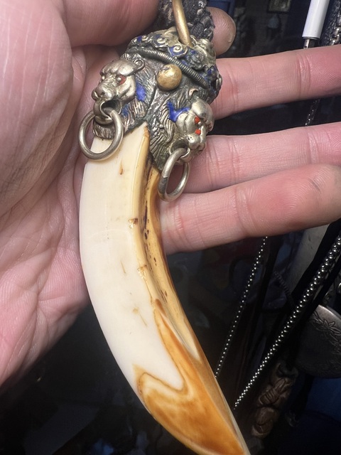 古玩雜項(xiàng)野豬牙掛件真品鑒賞圖