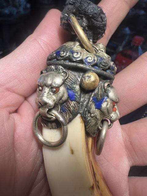 古玩雜項(xiàng)野豬牙掛件真品鑒賞圖