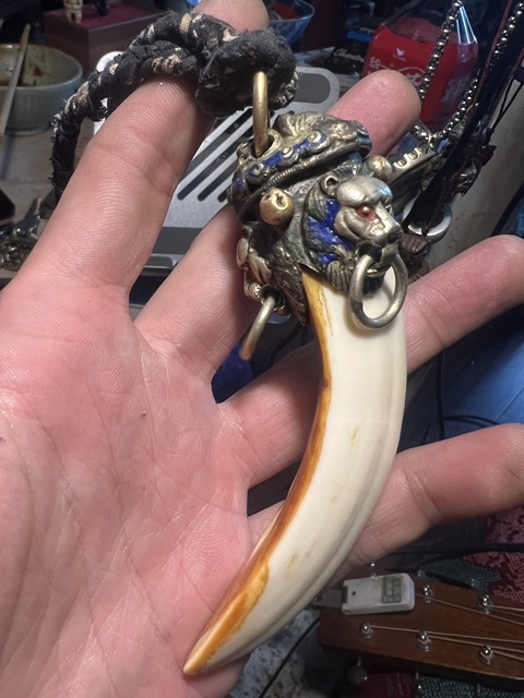 古玩雜項(xiàng)野豬牙掛件真品鑒賞圖