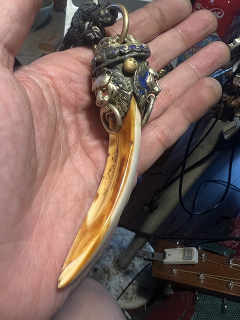 古玩雜項(xiàng)野豬牙掛件真品鑒賞圖