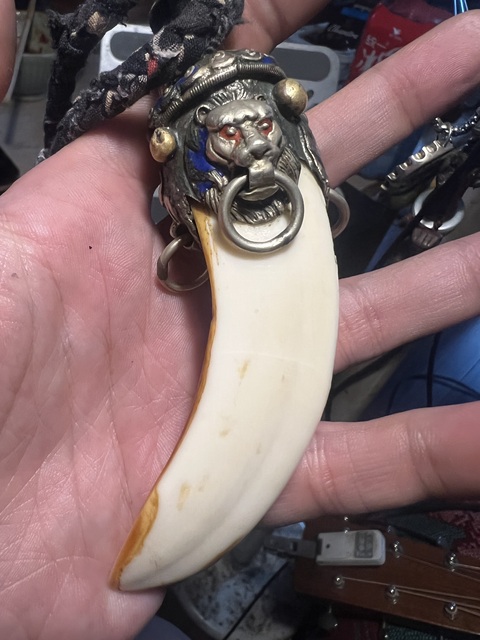 古玩雜項(xiàng)野豬牙掛件真品鑒賞圖