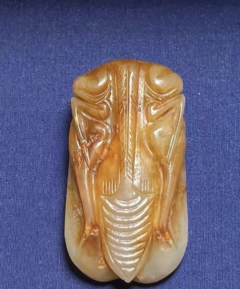 古玩玉器蟬真品鑒賞圖