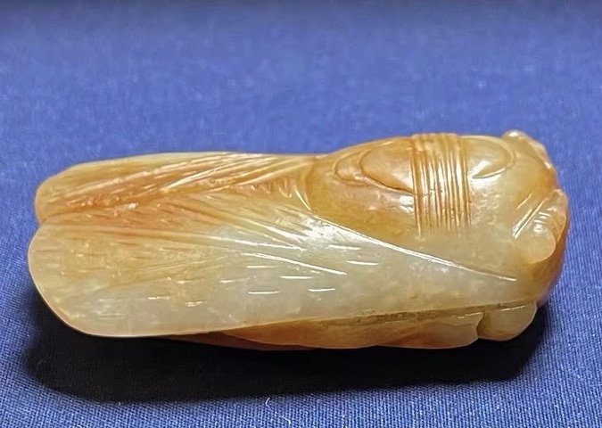 古玩玉器蟬真品鑒賞圖