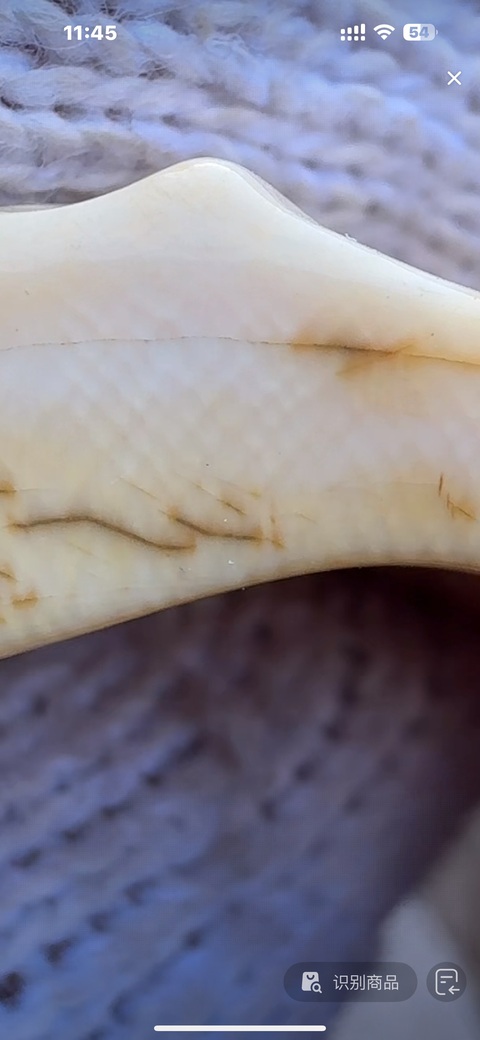 古玩雜項(xiàng)牙雕真品鑒賞圖