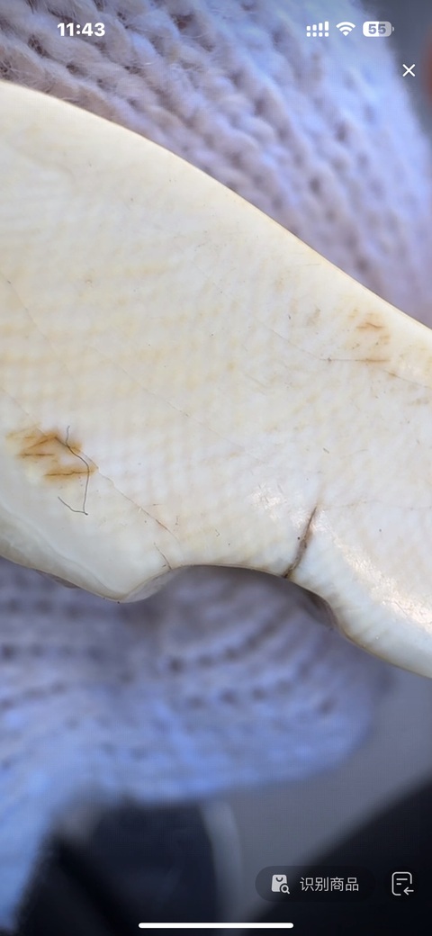 古玩雜項(xiàng)牙雕真品鑒賞圖