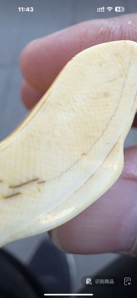 古玩雜項(xiàng)牙雕真品鑒賞圖