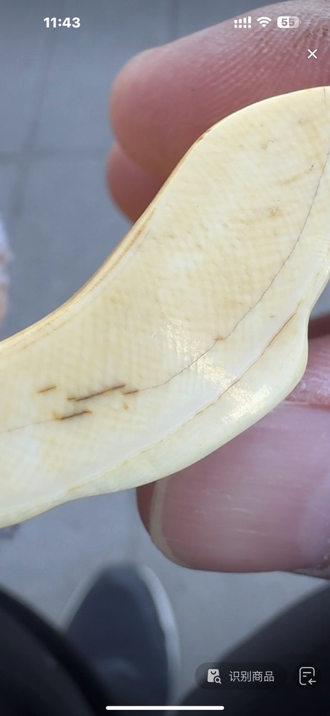 古玩雜項(xiàng)牙雕真品鑒賞圖