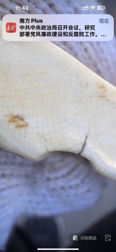 古玩雜項(xiàng)牙雕真品鑒賞圖