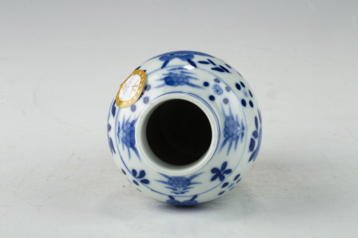 古玩陶瓷清晚·青花花鳥紋雞腿瓶一對
真品鑒賞圖