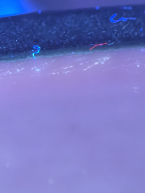 古玩陶瓷清晚期獅子滾繡球缸真品鑒賞圖