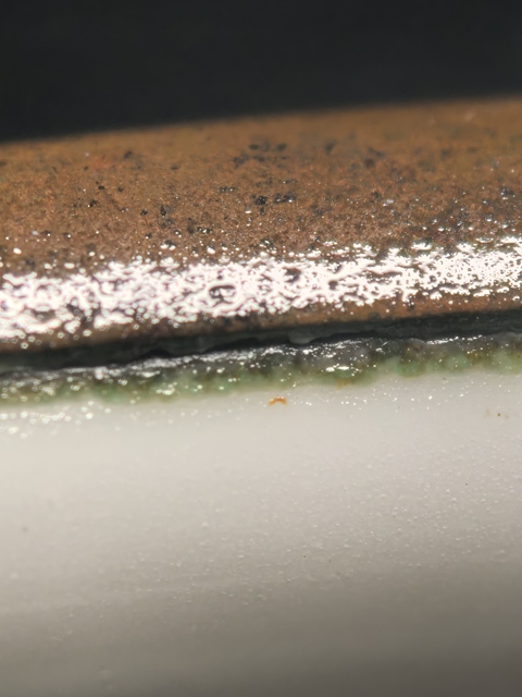 古玩陶瓷清晚期獅子滾繡球缸真品鑒賞圖