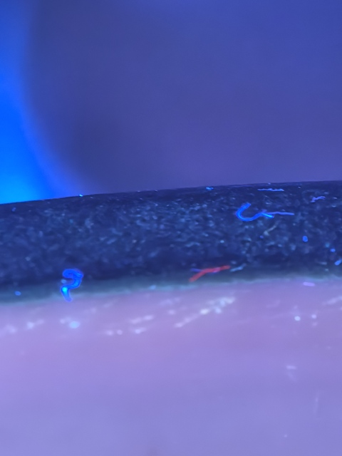 古玩陶瓷清晚期 青花獅子紋馬蹄缸真品鑒賞圖