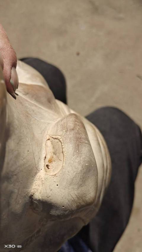 古玩雜項(xiàng)彌勒佛真品鑒賞圖