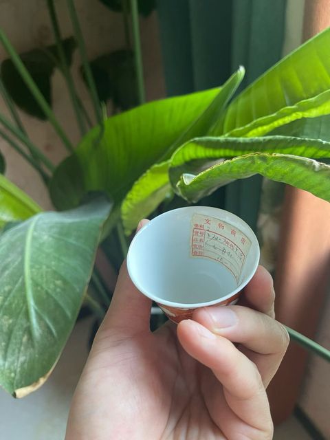 古玩陶瓷龍紋礬紅杯真品鑒賞圖