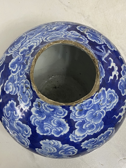 古玩陶瓷魚龍變化天球瓶青花標本真品鑒賞圖