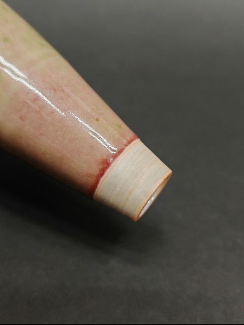 古玩陶瓷豇豆紅釉柳葉瓶真品鑒賞圖