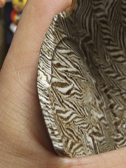 古玩陶瓷殘器標(biāo)本真品鑒賞圖