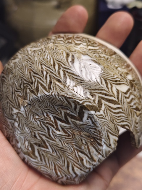 古玩陶瓷殘器標(biāo)本真品鑒賞圖