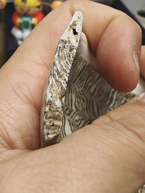 古玩陶瓷殘器標(biāo)本真品鑒賞圖