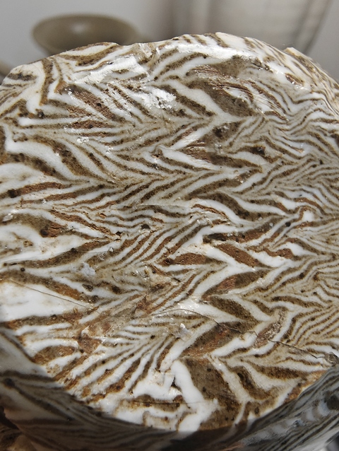 古玩陶瓷殘器標(biāo)本真品鑒賞圖