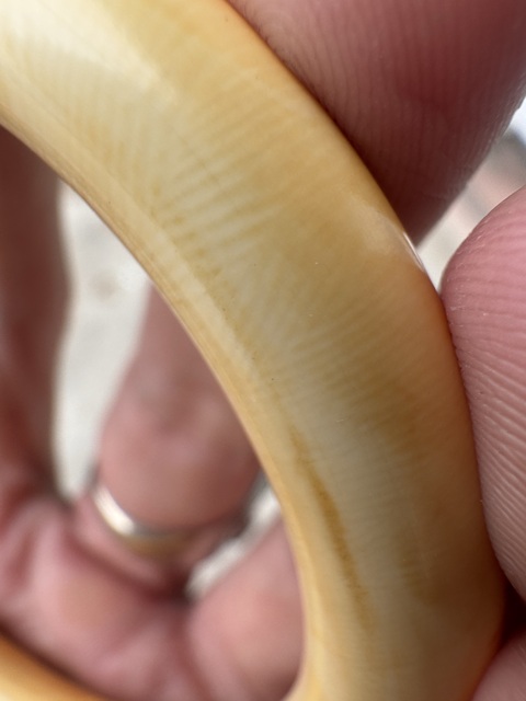 古玩雜項手鐲真品鑒賞圖