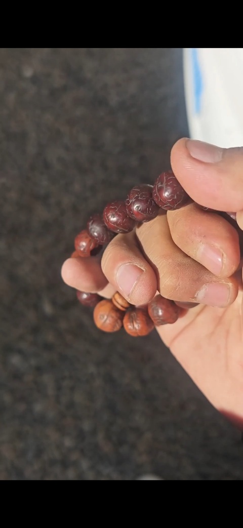 古玩雜項鳳眼菩提子真品鑒賞圖