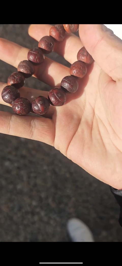 古玩雜項鳳眼菩提子真品鑒賞圖