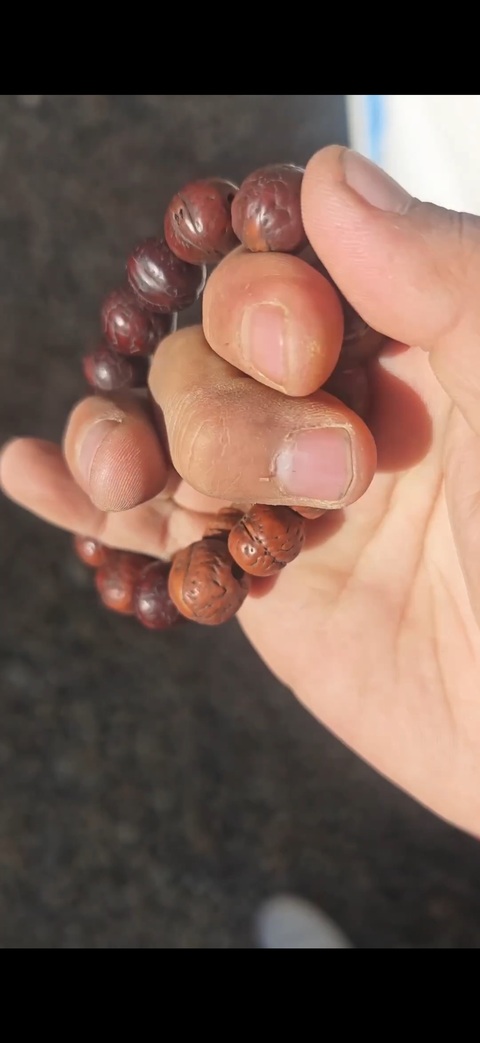 古玩雜項鳳眼菩提子真品鑒賞圖