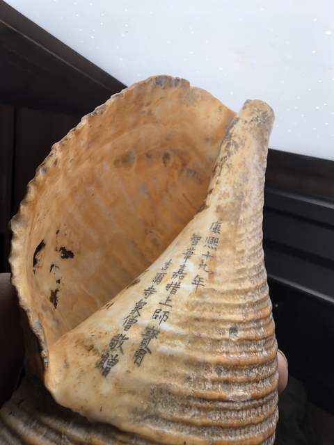 古玩雜項現代仿刻清代老法螺真品鑒賞圖