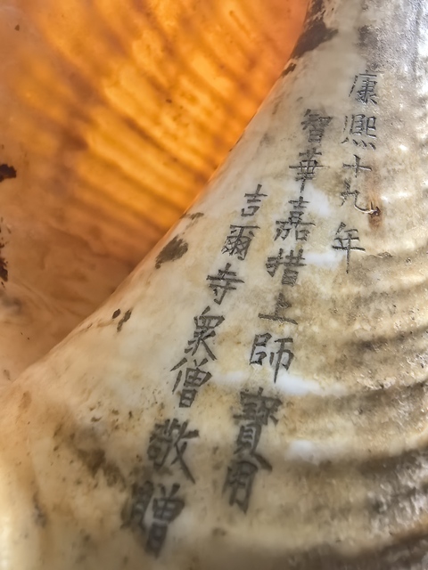 古玩雜項現代仿刻清代老法螺真品鑒賞圖