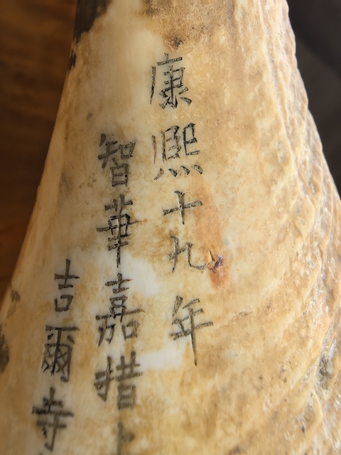 古玩雜項現代仿刻清代老法螺真品鑒賞圖