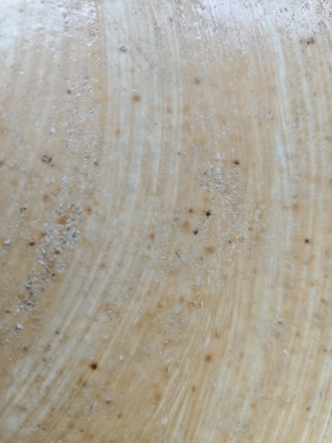 古玩陶瓷清晚期粉彩五倫圖瓷板真品鑒賞圖