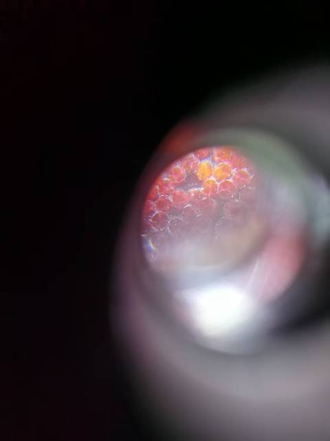 古玩雜項其它材質仿xi jiao 扳指真品鑒賞圖