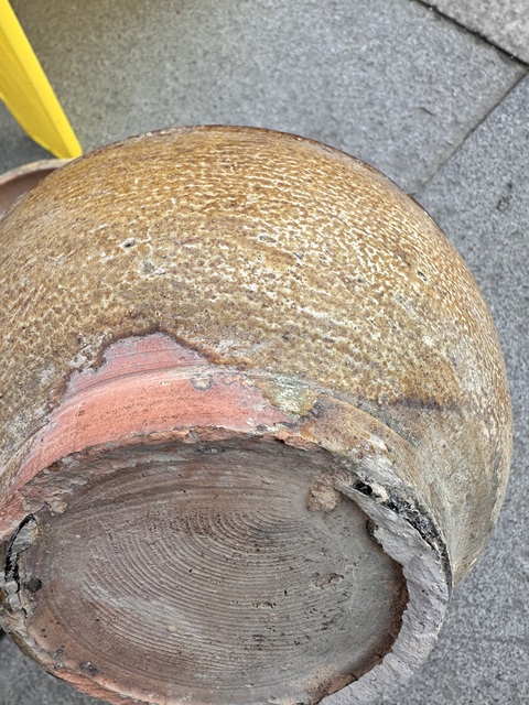 古玩陶瓷黃釉蓋盒真品鑒賞圖