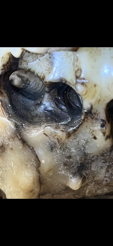 古玩玉器玉山子真品鑒賞圖