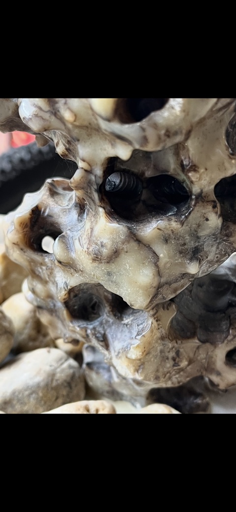 古玩玉器玉山子真品鑒賞圖