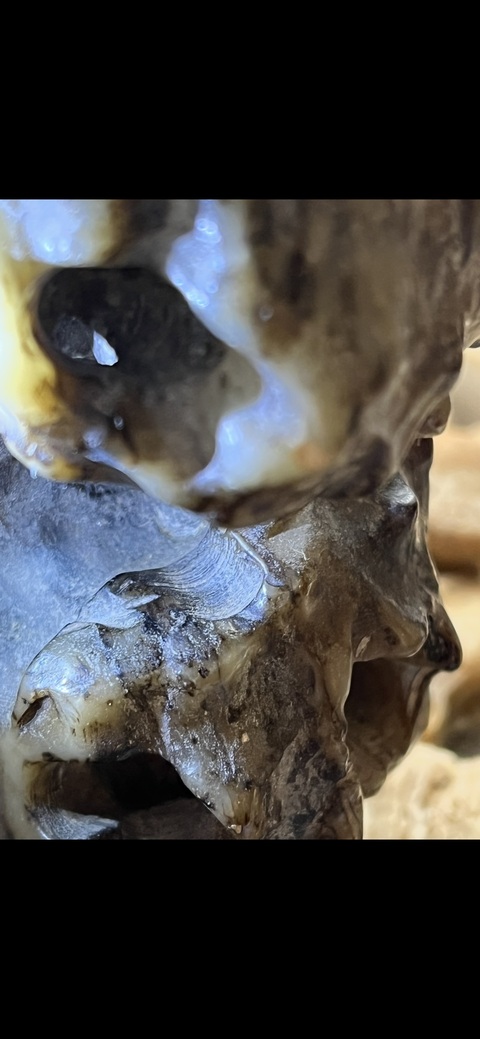 古玩玉器玉山子真品鑒賞圖