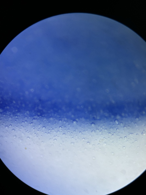 古玩陶瓷清晚期青花三星紋杯真品鑒賞圖