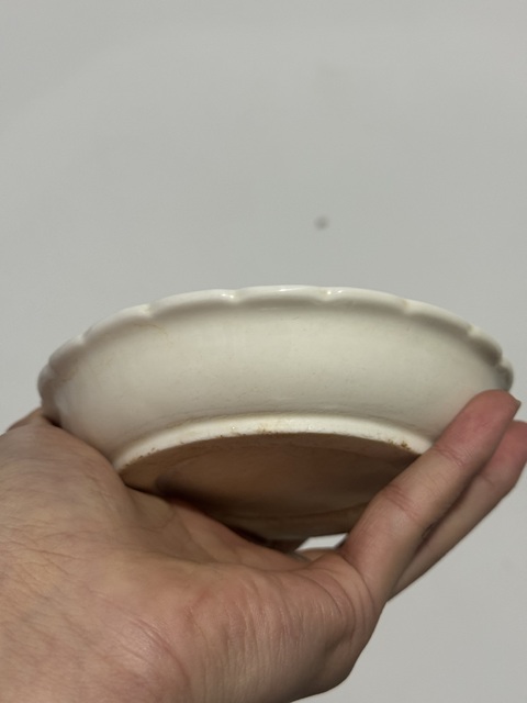 古玩陶瓷白釉葵口碟真品鑒賞圖