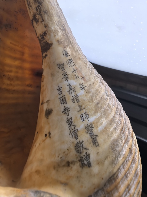 古玩雜項現代仿刻清代老法螺真品鑒賞圖