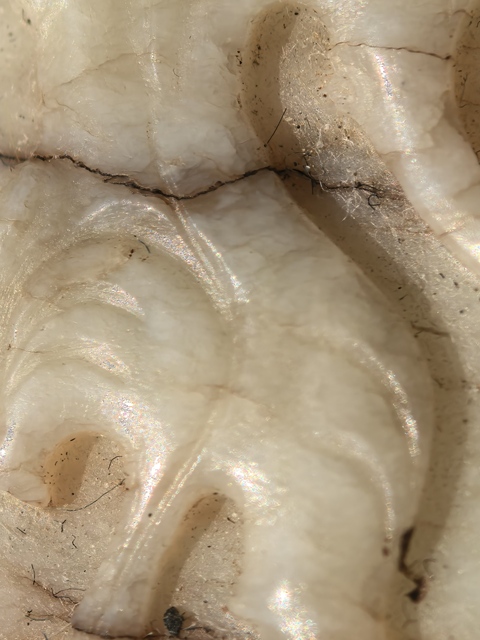 古玩玉器螭龍勒子真品鑒賞圖